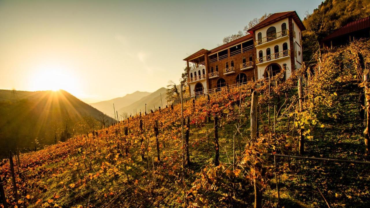 Hotel Chateau Iveri Varjanisi 外观 照片
