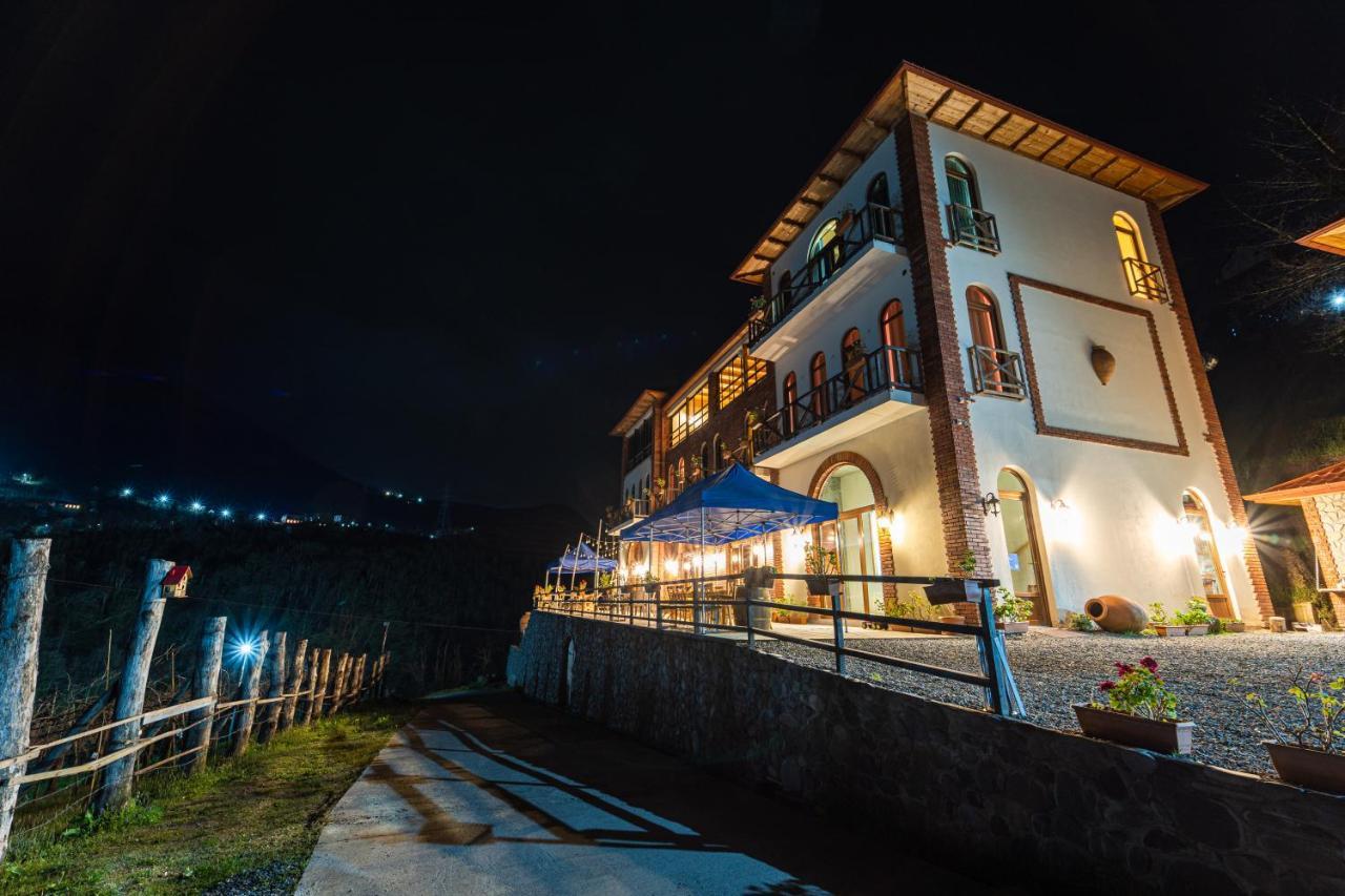 Hotel Chateau Iveri Varjanisi 外观 照片