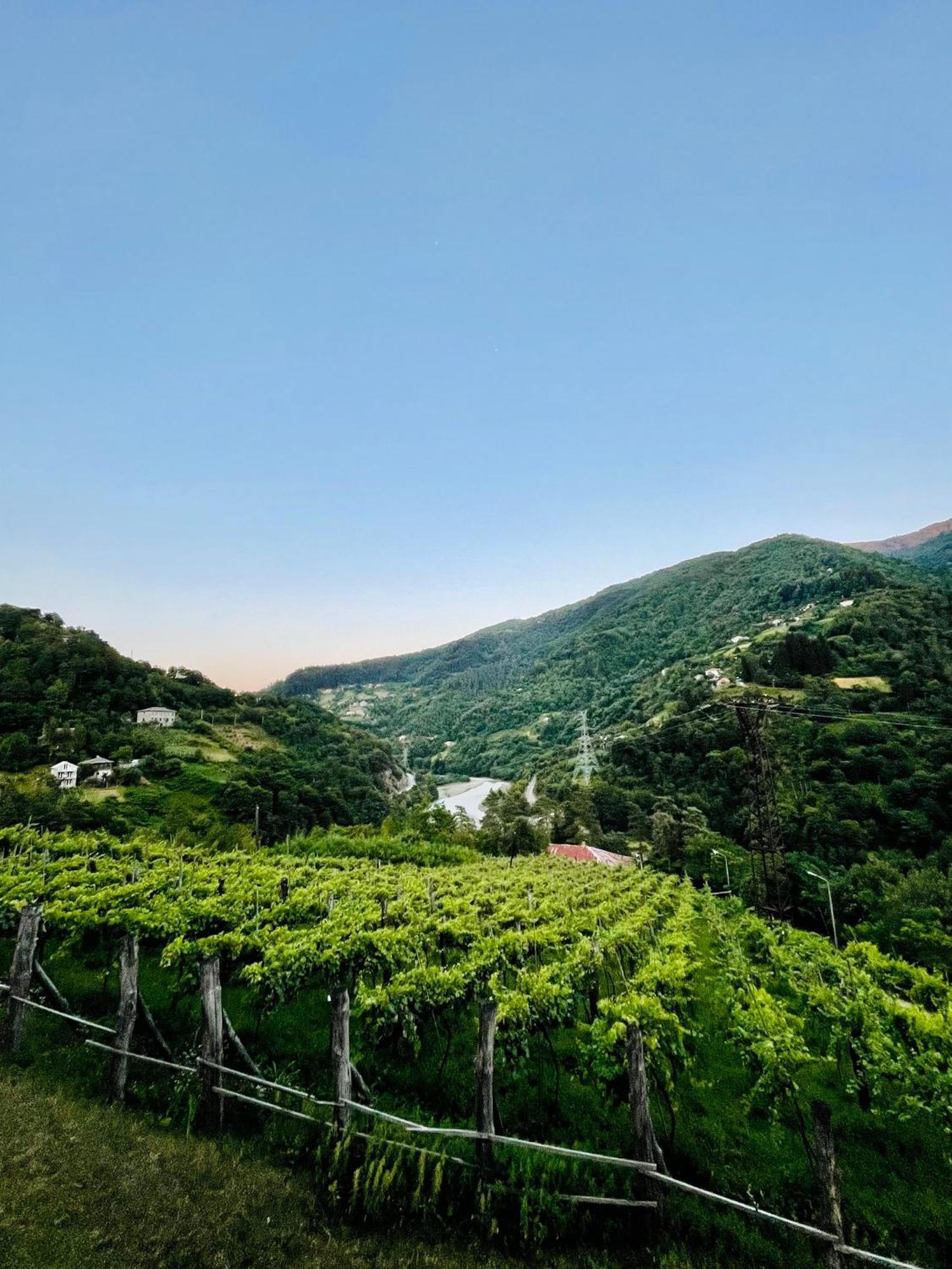 Hotel Chateau Iveri Varjanisi 外观 照片