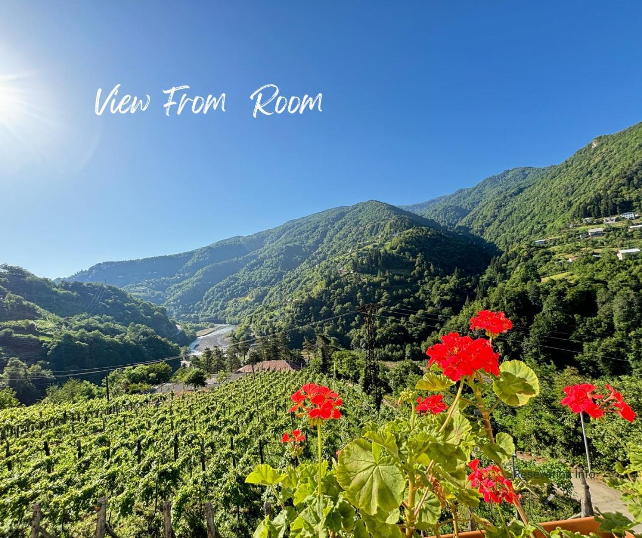 Hotel Chateau Iveri Varjanisi 外观 照片